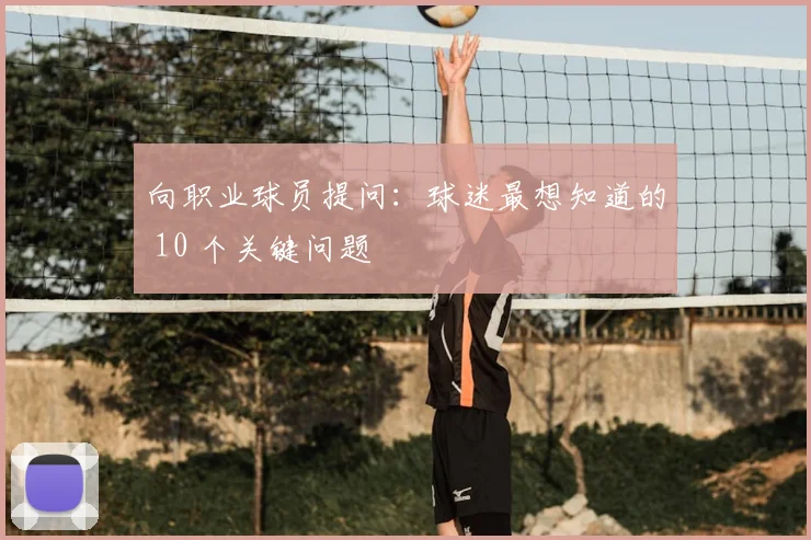 向职业球员提问：球迷最想知道的 10 个关键问题