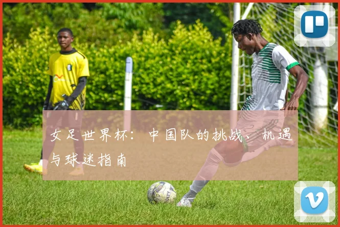 女足世界杯：中国队的挑战、机遇与球迷指南