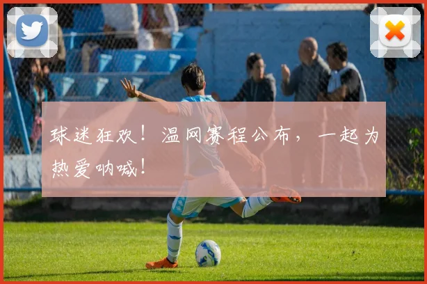 球迷狂欢！温网赛程公布，一起为热爱呐喊！