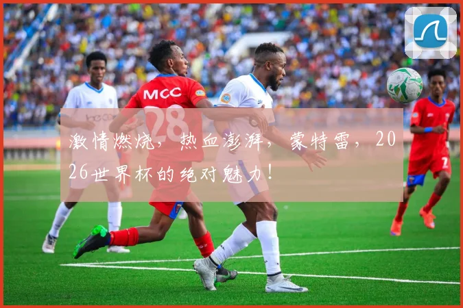 激情燃烧，热血澎湃，蒙特雷，2026世界杯的绝对魅力！