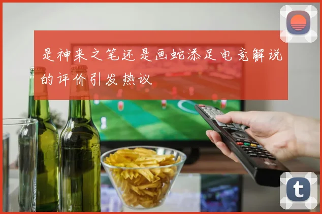 是神来之笔还是画蛇添足电竞解说的评价引发热议